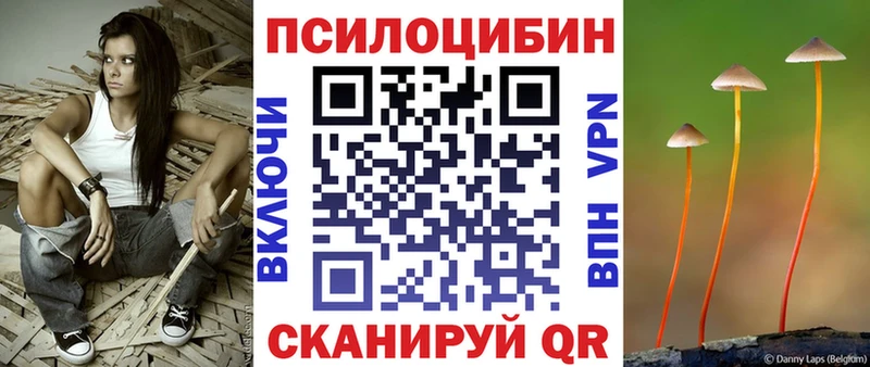 где можно купить   Морозовск  mega как зайти  Псилоцибиновые грибы Psilocybe 