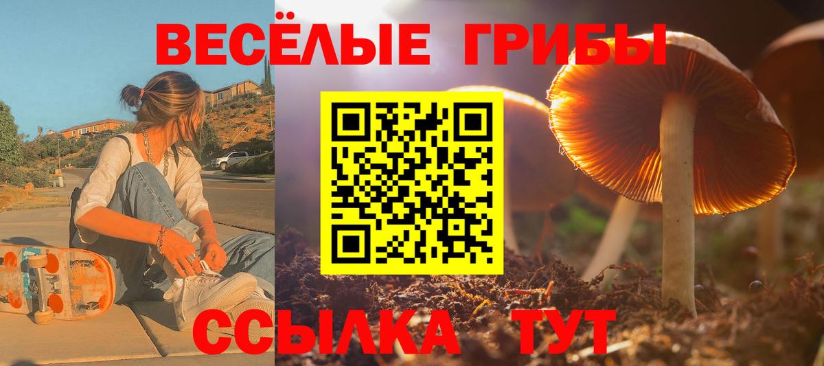 Псилоцибиновые грибы мицелий Морозовск