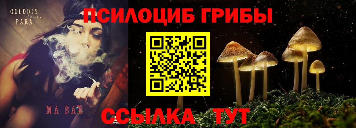 Псилоцибиновые грибы мицелий  Галлюциногенные грибы мухоморы  Вход с VPN  Морозовск 